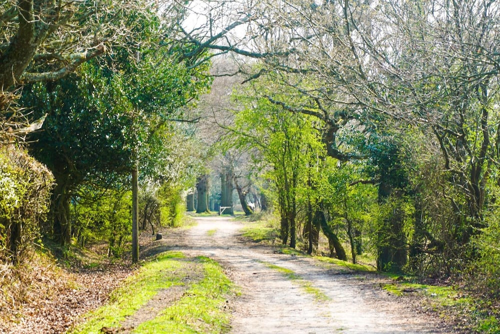 New Forest Lodge 31/37