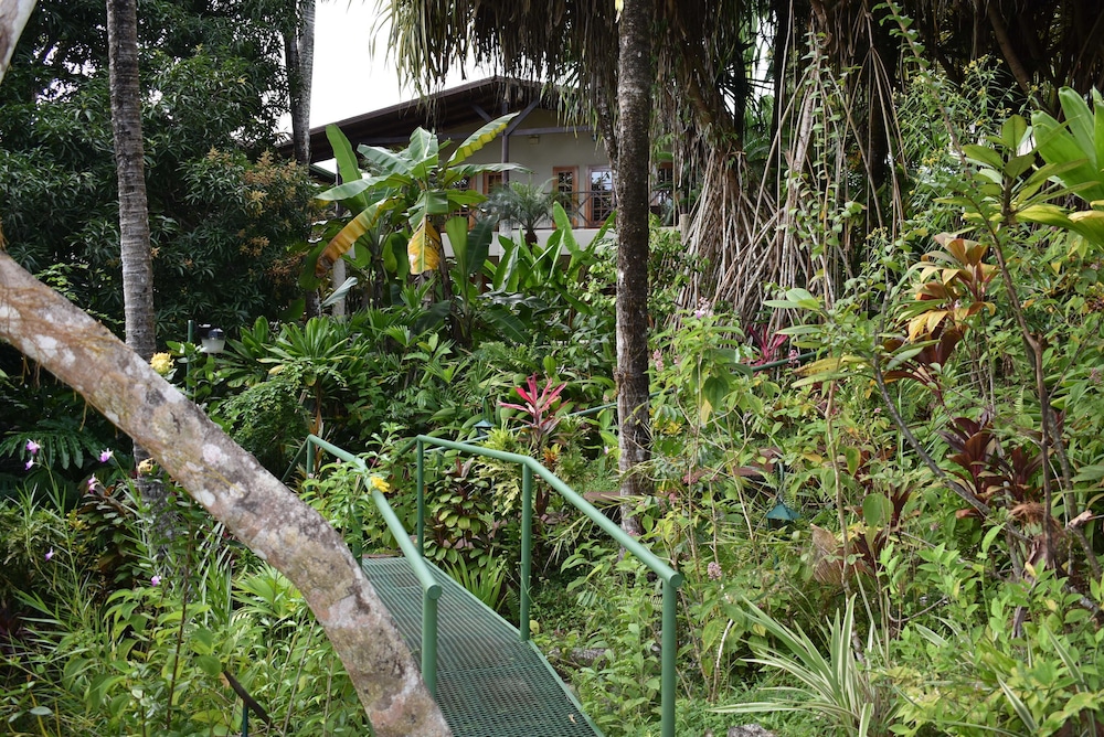 The Falls Resort at Manuel Antonio 67/70