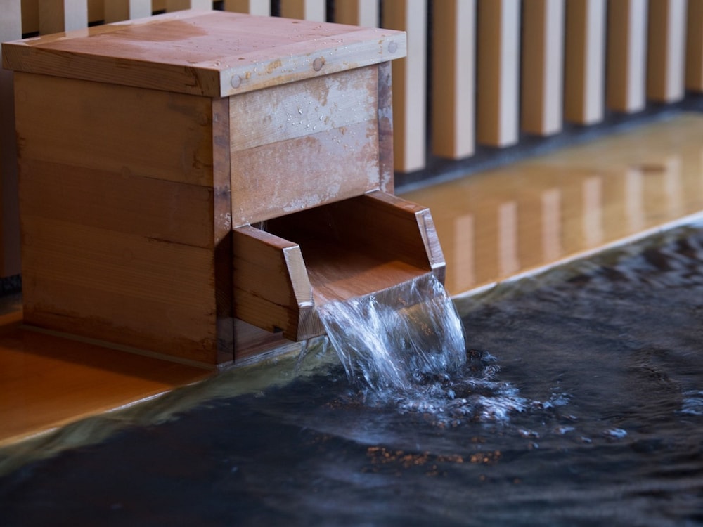 Hirayama Onsen Ryokan Zenya 20/50