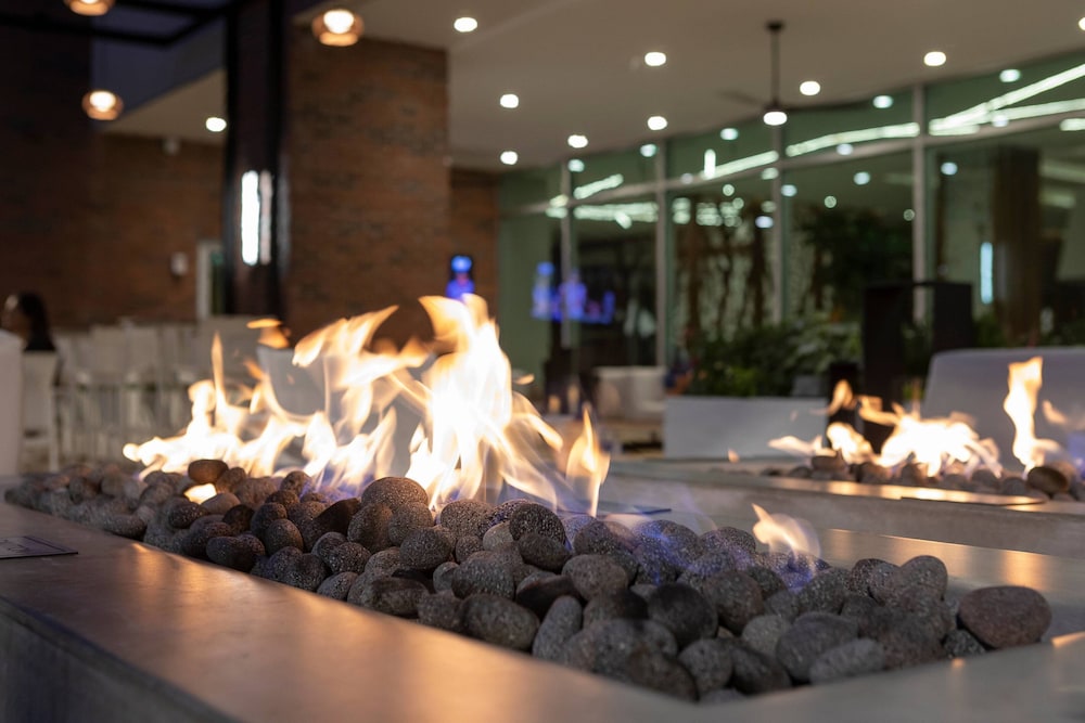 Springhill Suites By Marriott Downtown Greenville 22/63