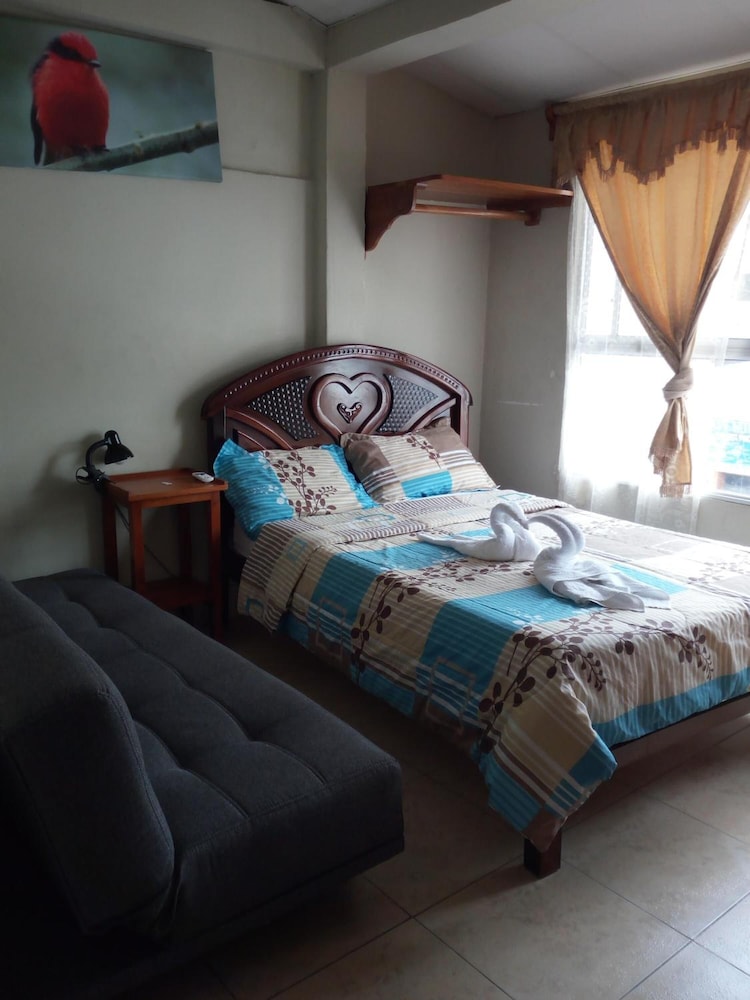 Miconia Hostal 27/49