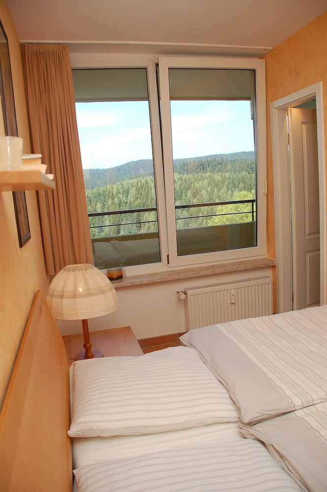 Aparthotel Panoramic Hohegeiss 22/55