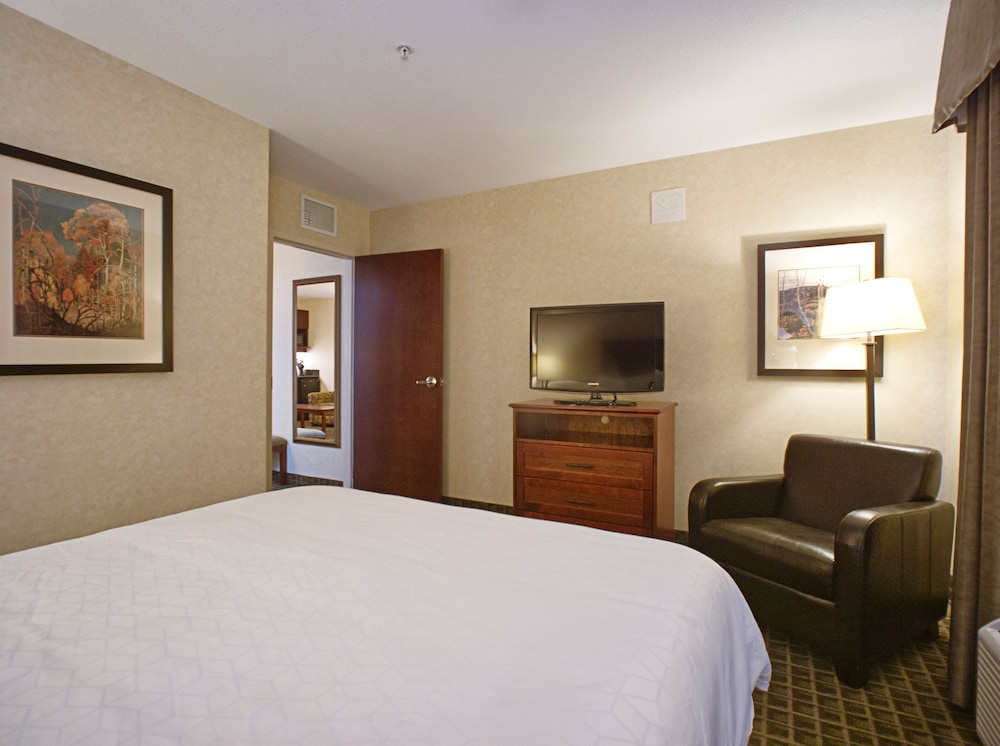 Holiday Inn Express And Suites Edmonton North 33/75