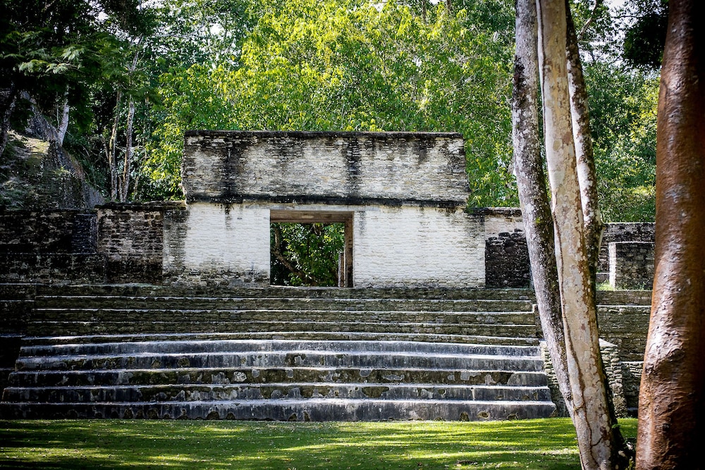 surroundings