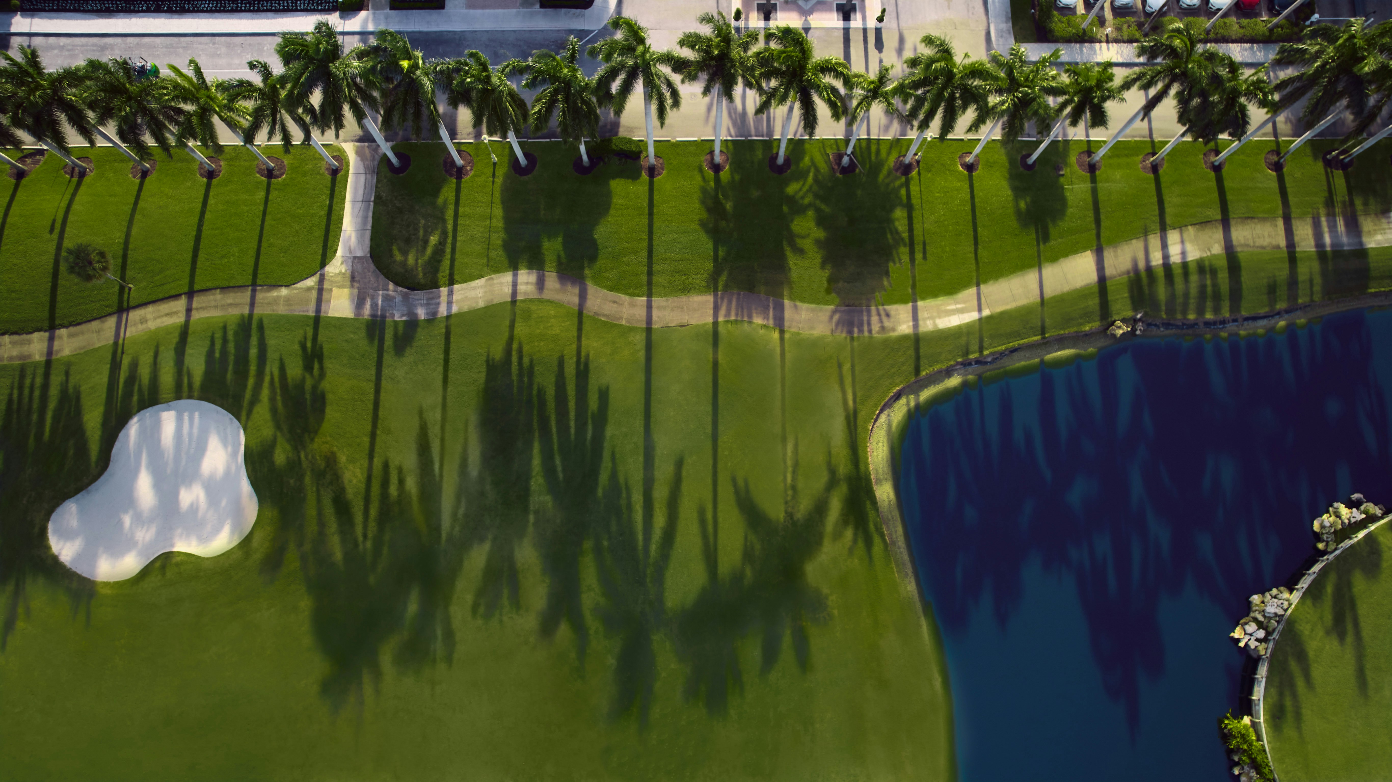 Beach Club at The Boca Raton 60/72