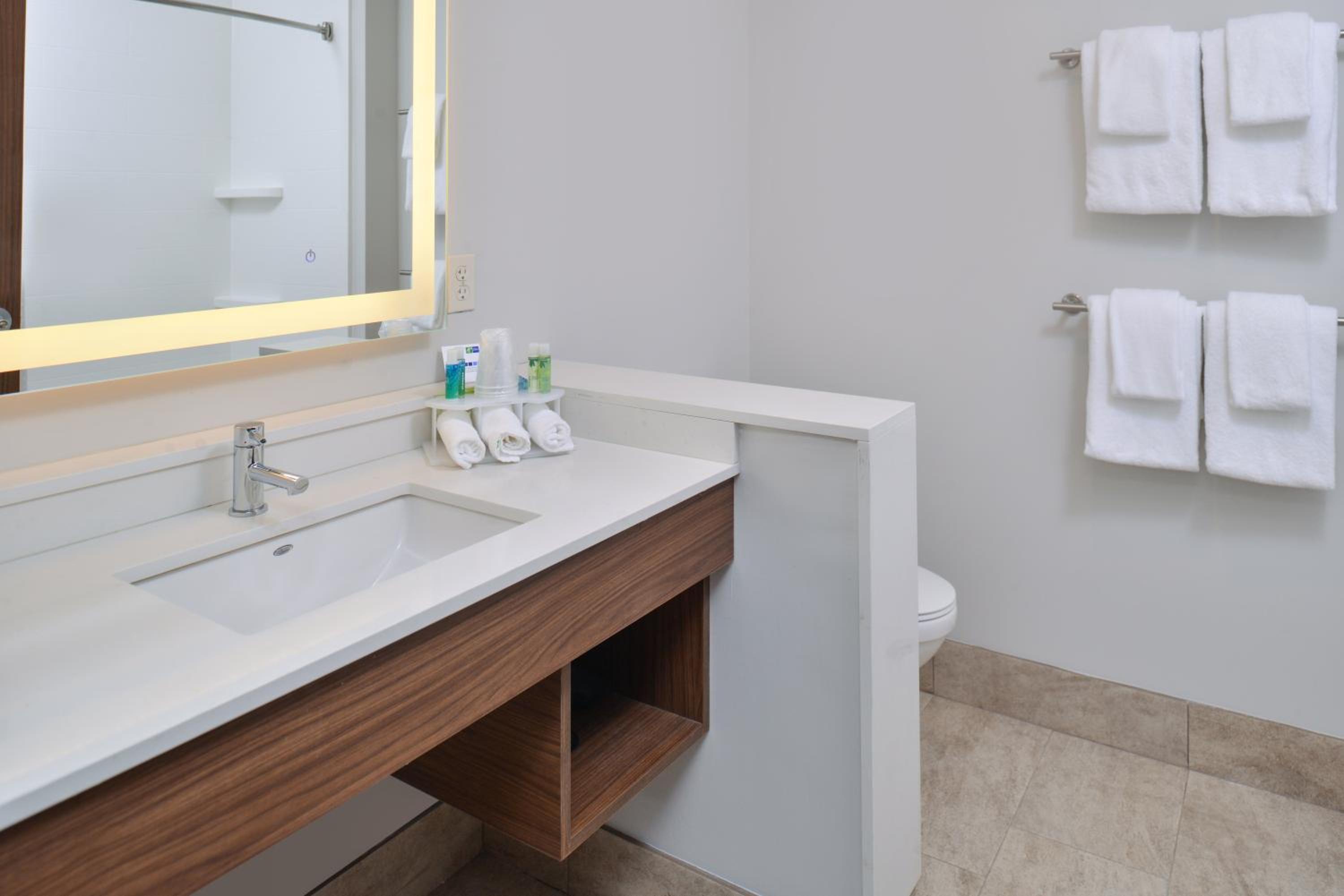 غرفة بسرير كينج مع أريكة لذوي الإعاقة، Holiday Inn Express Suites Farmington Hills Detroit 3/3
