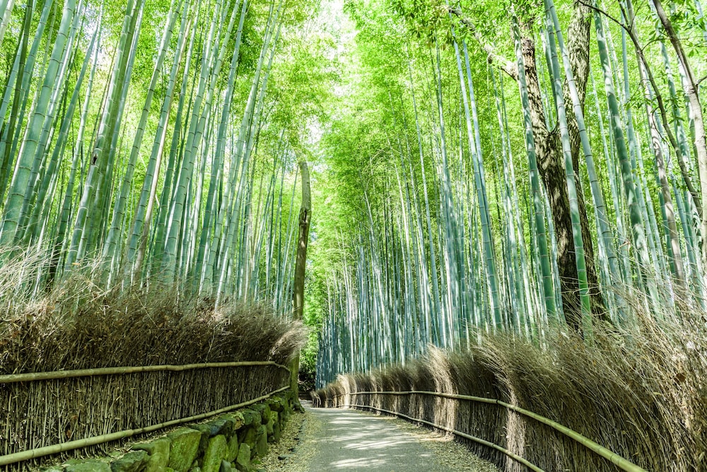 Mimaru Kyoto Shinmachi Sanjo 58/63