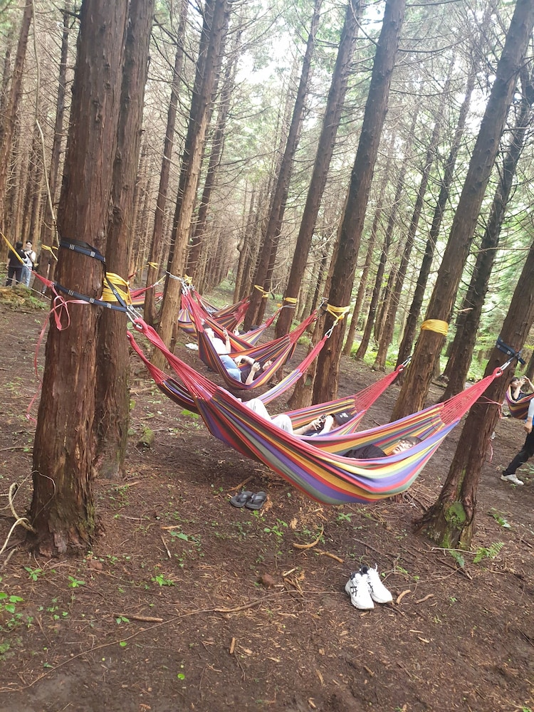Jeju Best Hill 48/68