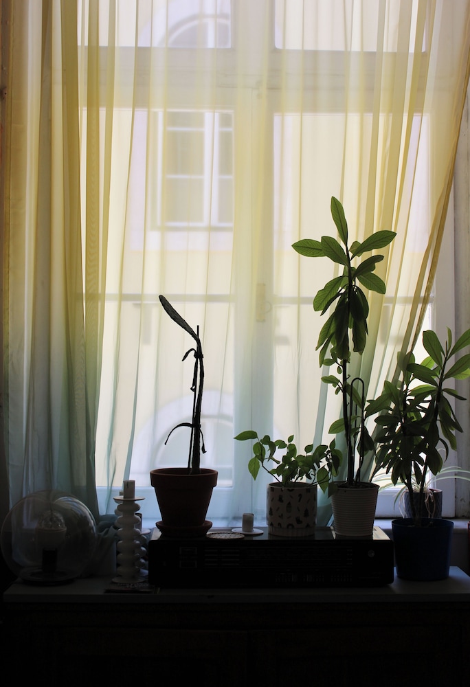 Rossio Hostel 46/50