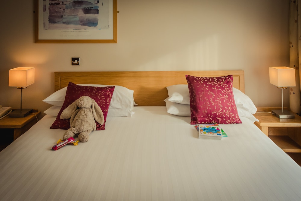 Viking Hotel Waterford(Formerly Ramada Viking Hotel) 7/63