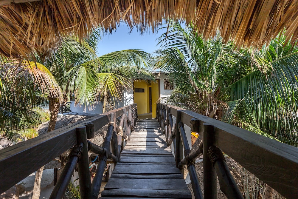 Beachfront Hotel La Palapa - Adults Only 13/36