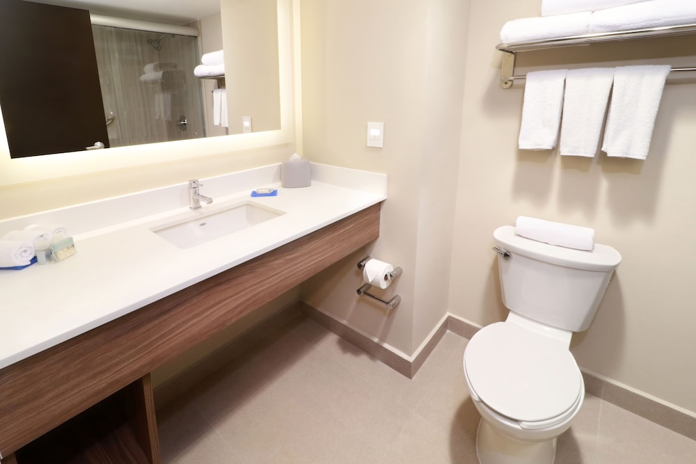 Holiday Inn Express Guadalajara Aeropuerto an IHG Hotel 29/58