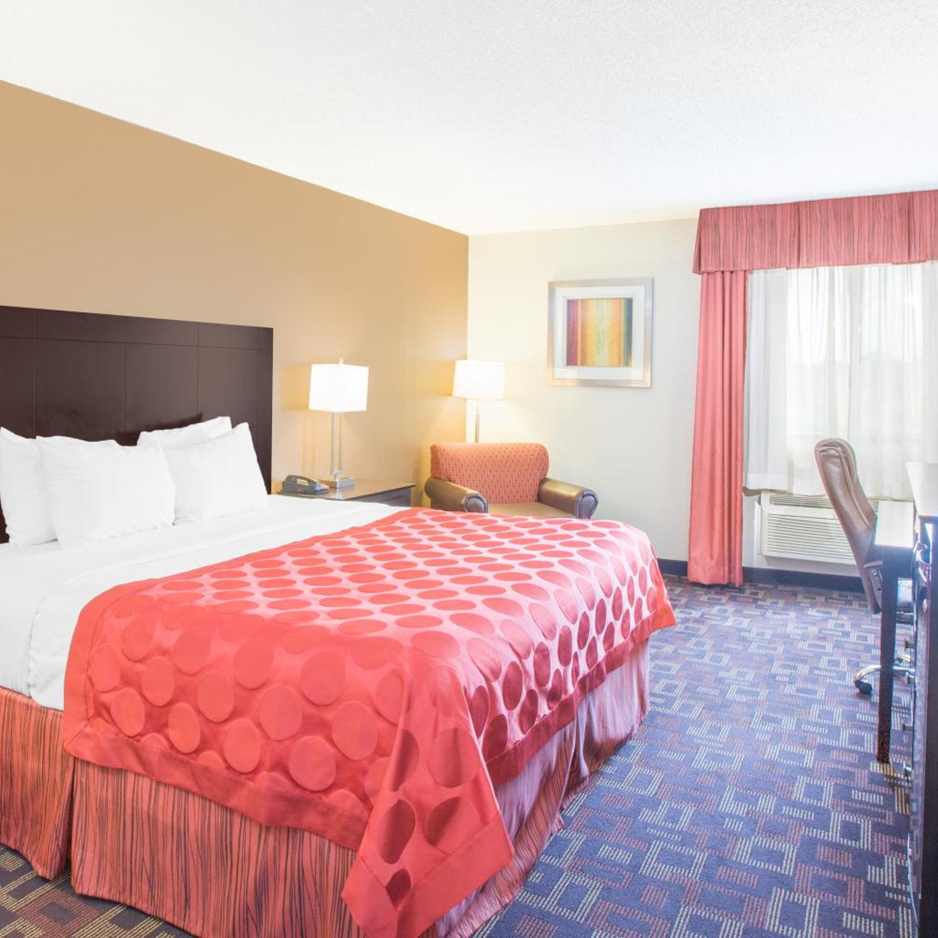 Deluxe, King Bed