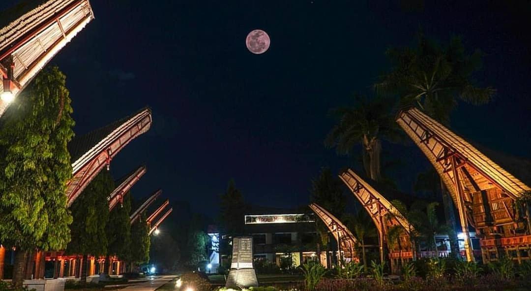 Toraja Misiliana 2/49