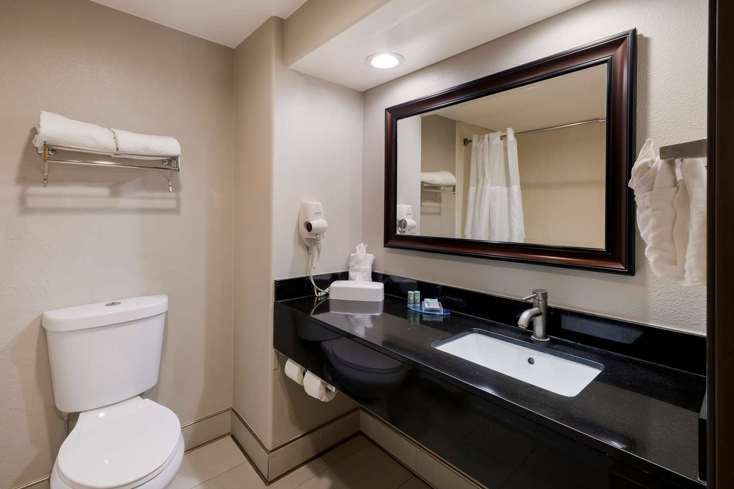 Suite, King Bed, Queen Bed, Sofa