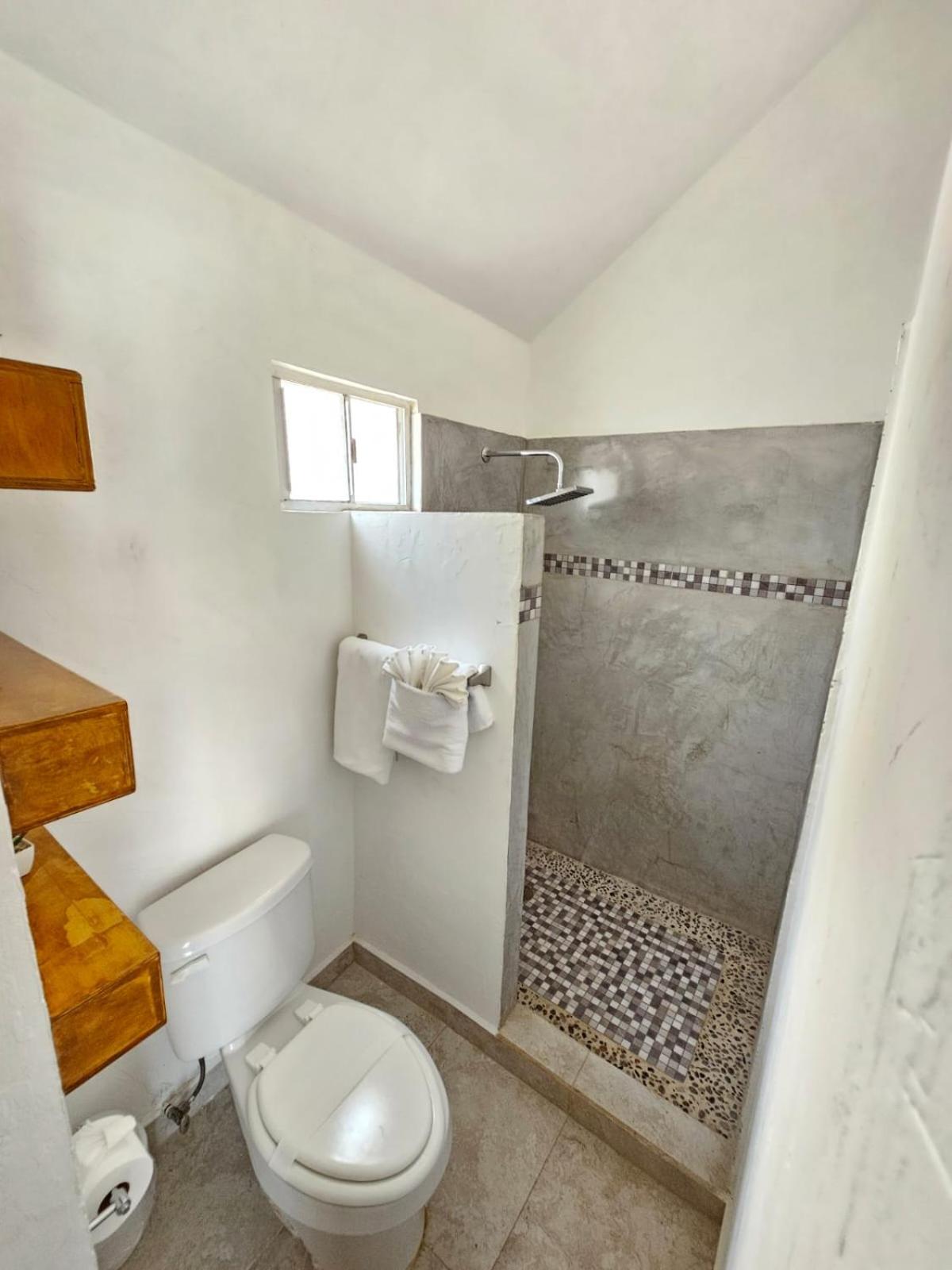 Renovated, Superior, 2 Double Beds، Buena Vista Oceanfront & Hot Springs Resort 7/10