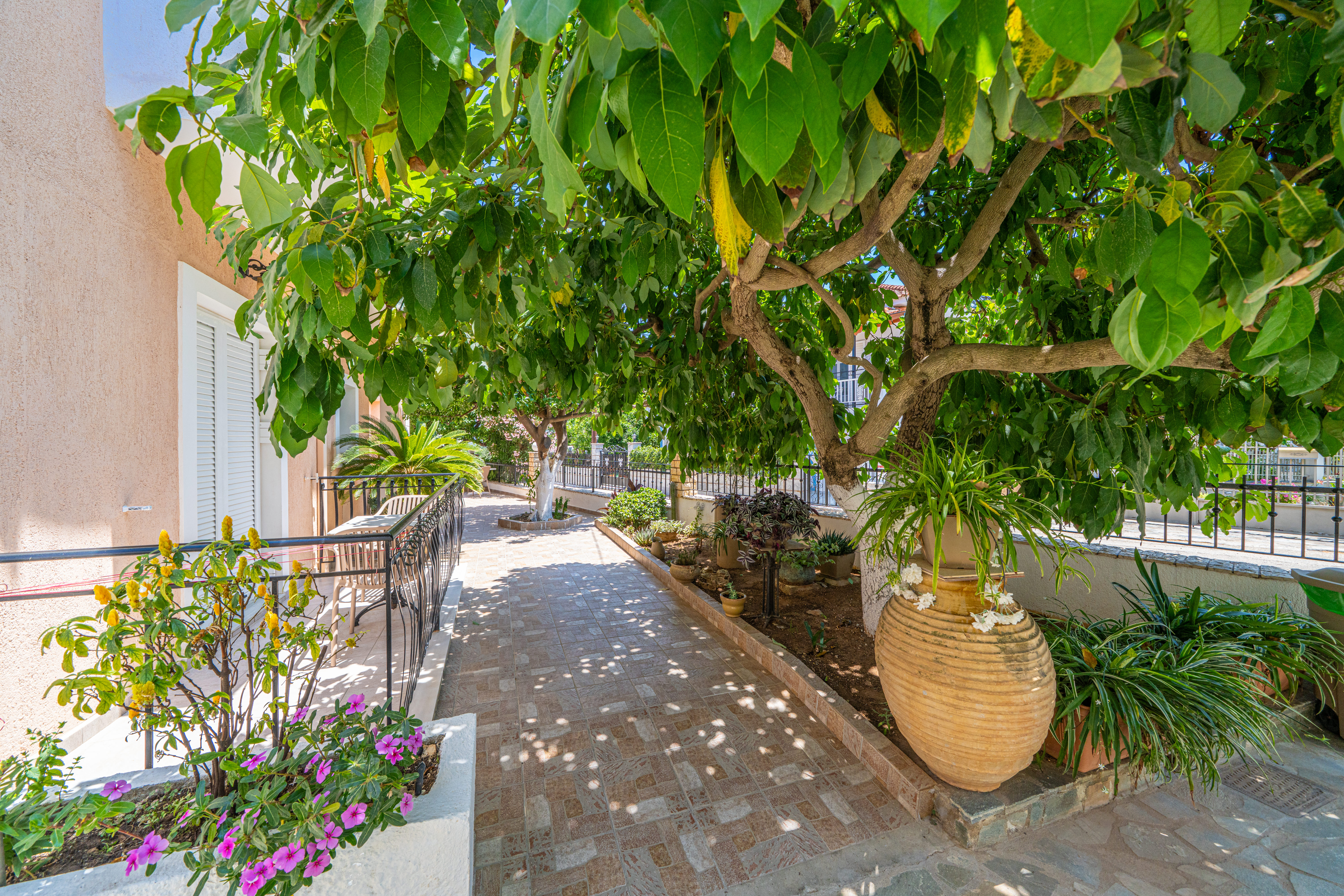 Dionysios Studios 40/50