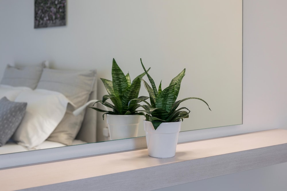 Spring Apartments 11/50