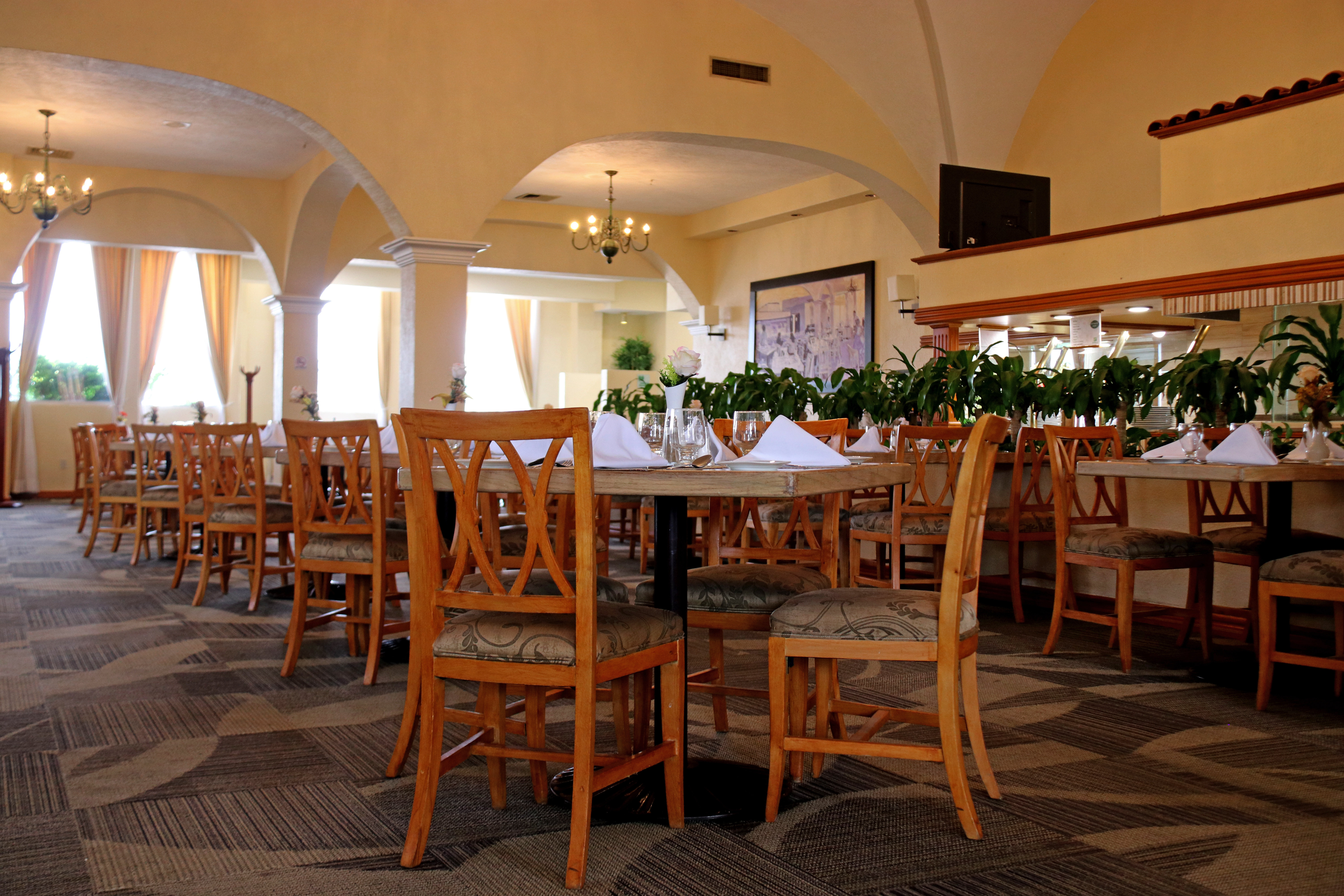 Holiday Inn La Piedad 36/55