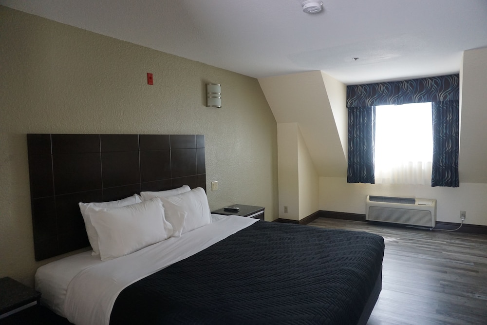Standard, King Bed, Mountain View