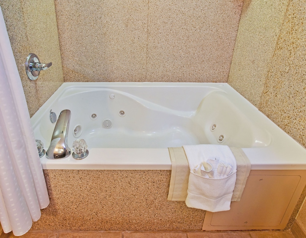 Holiday Inn Express Hotel Suites Dyersburg 19/41