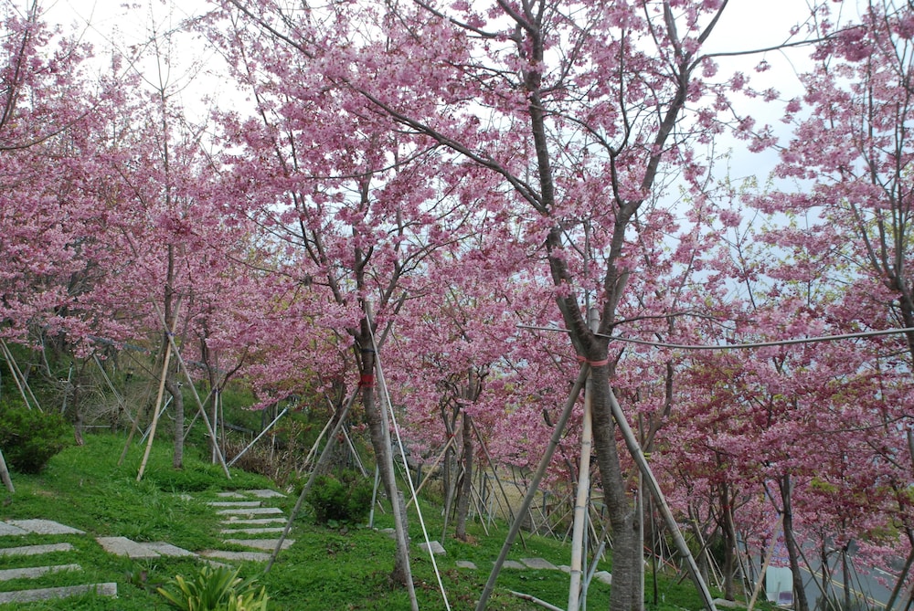 Liching Garden Villa 44/50