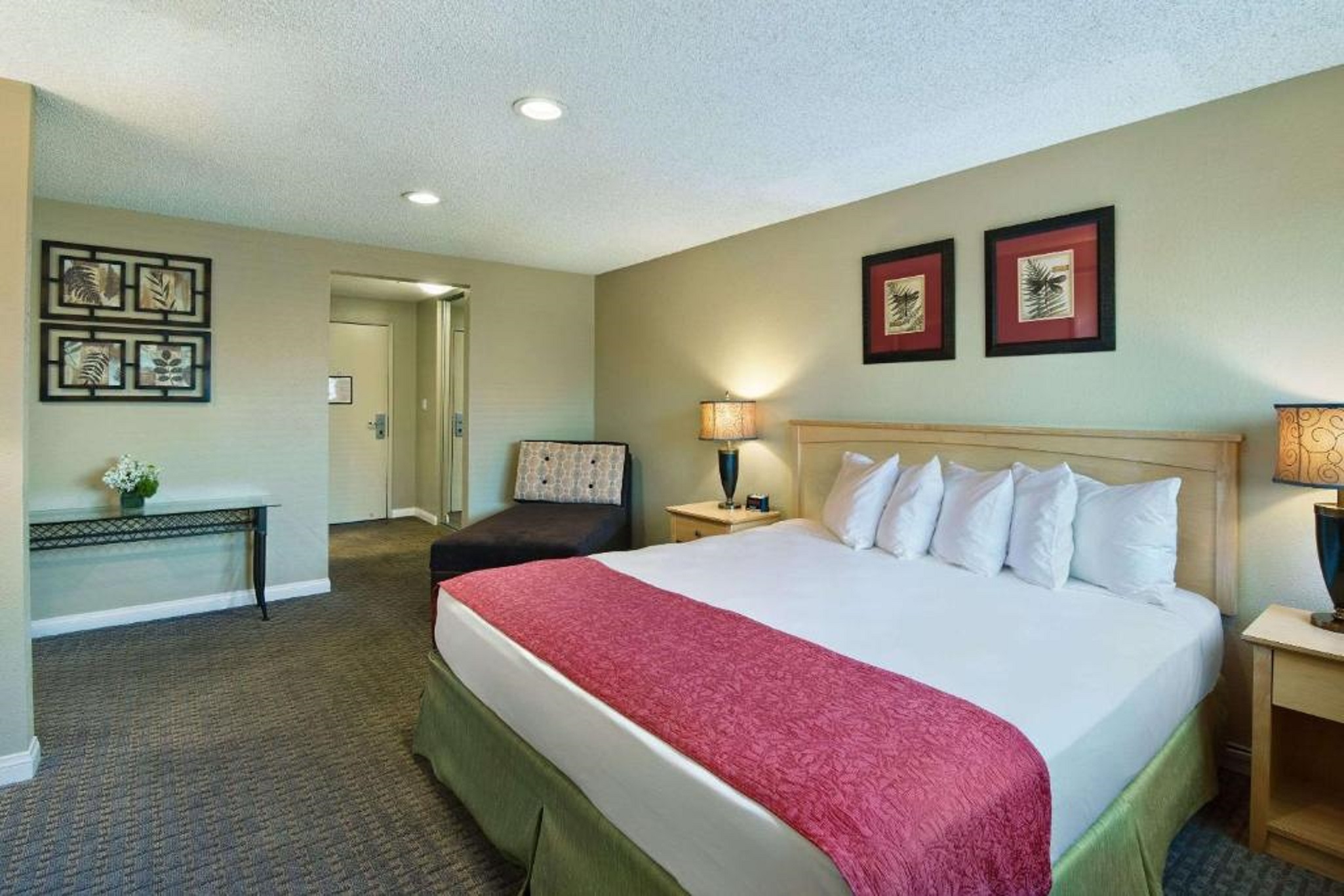 Suite, Queen Bed