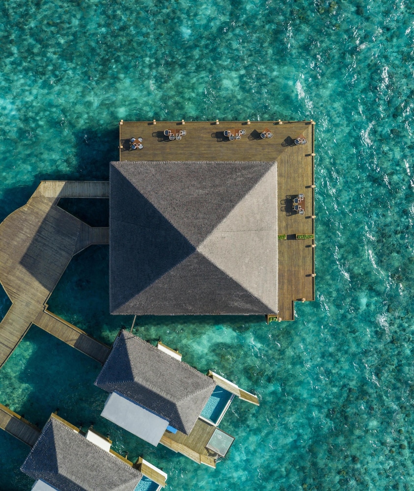 dusitD2 Feydhoo Maldives - Complimentary Return Transfer included 35/59