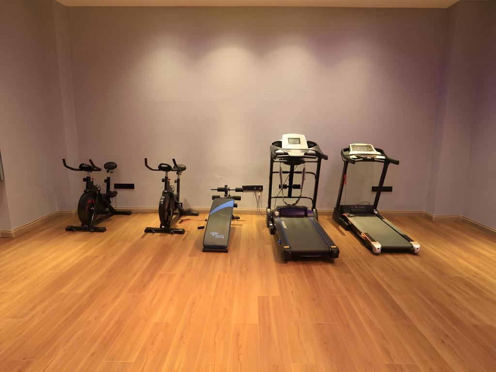 GreenTree Eastern Xinjiang Aksu Airport Hotel 33/45