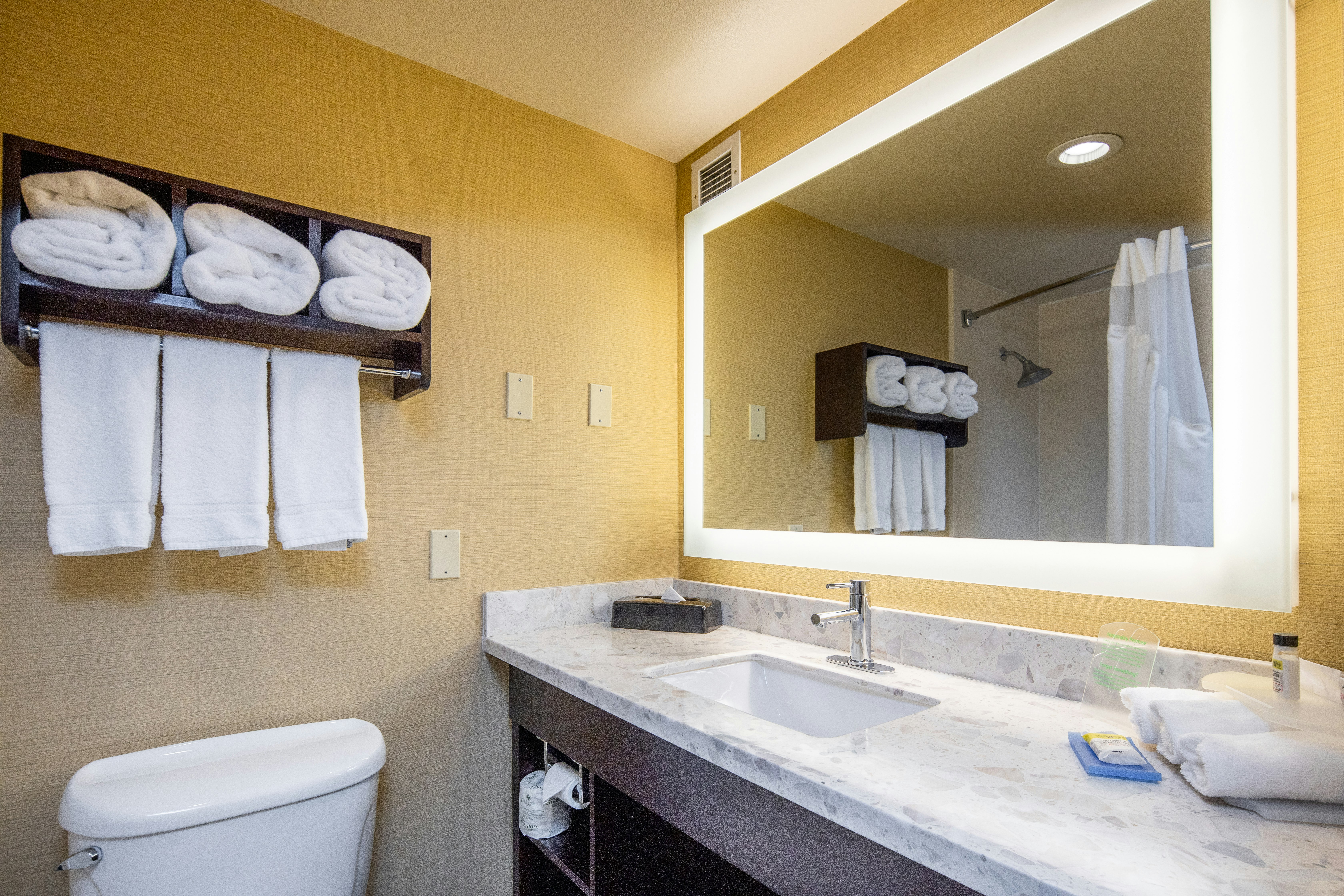 Holiday Inn Express Castro Valley 63/71