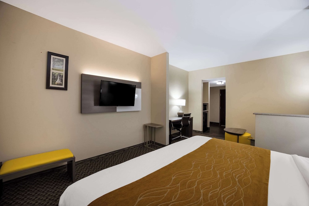 Suite, King Bed, Sofa, Accessible
