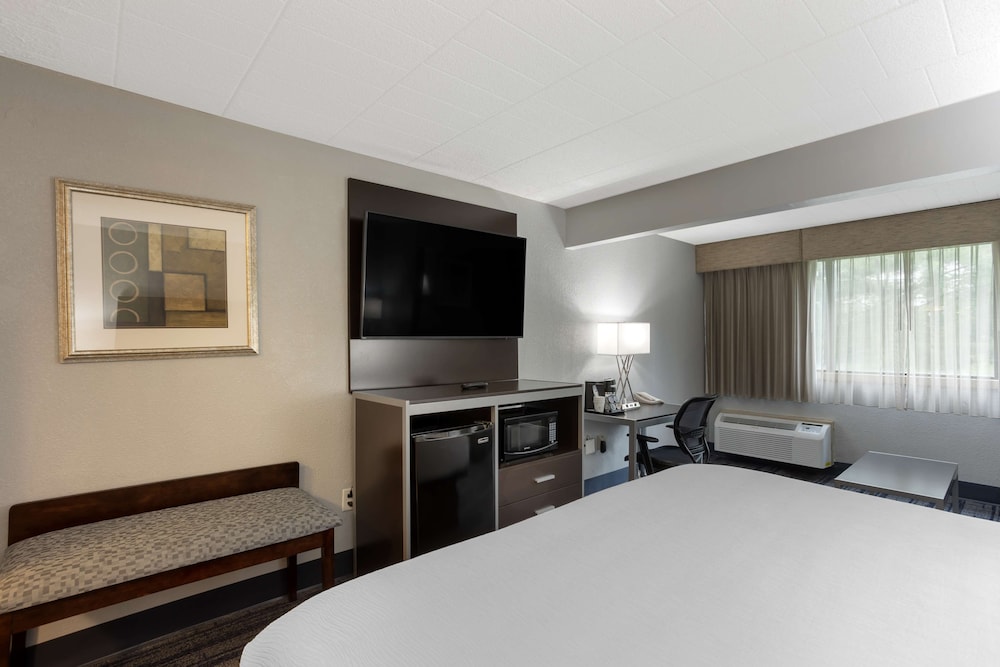 غرفة قياسية بسرير كينج مع أريكة، Best Western Plus Reading Inn & Suites 3/4