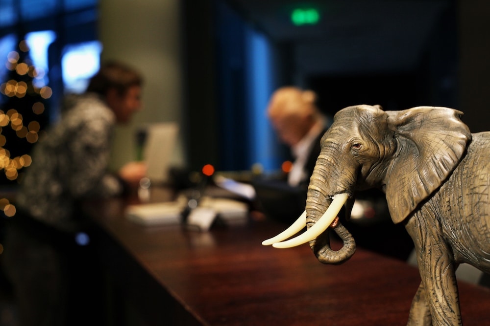 Rixwell Elefant 16/31