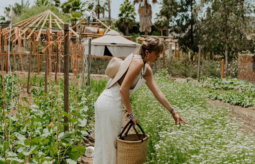 HOTEL BOUTIQUE VALLE DE GUADALUPE 57/83
