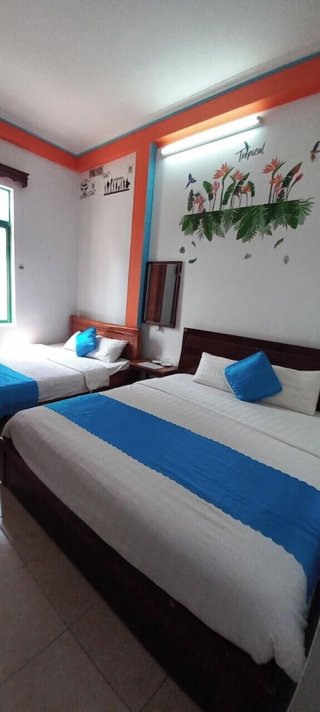 Alex Hotel 22/72
