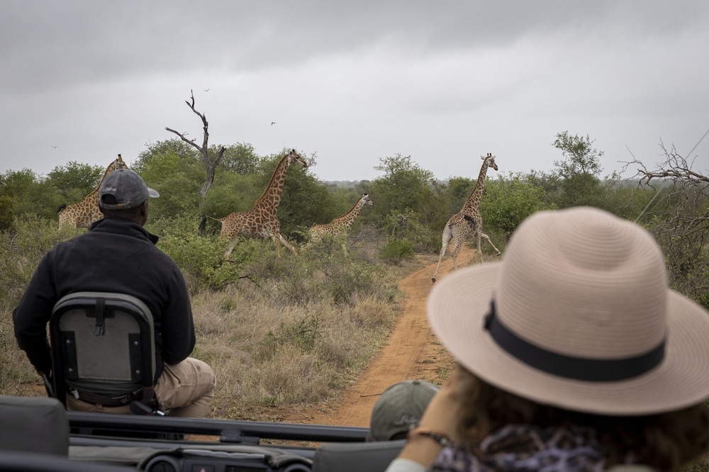 Simbavati Waterside 23/31