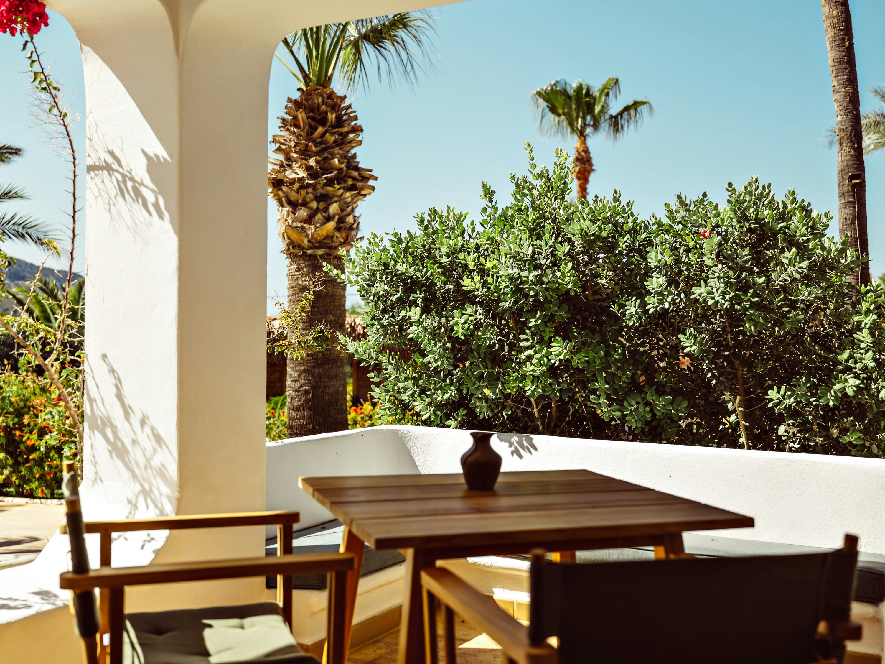 Petunia Hotel Ibiza 40/50