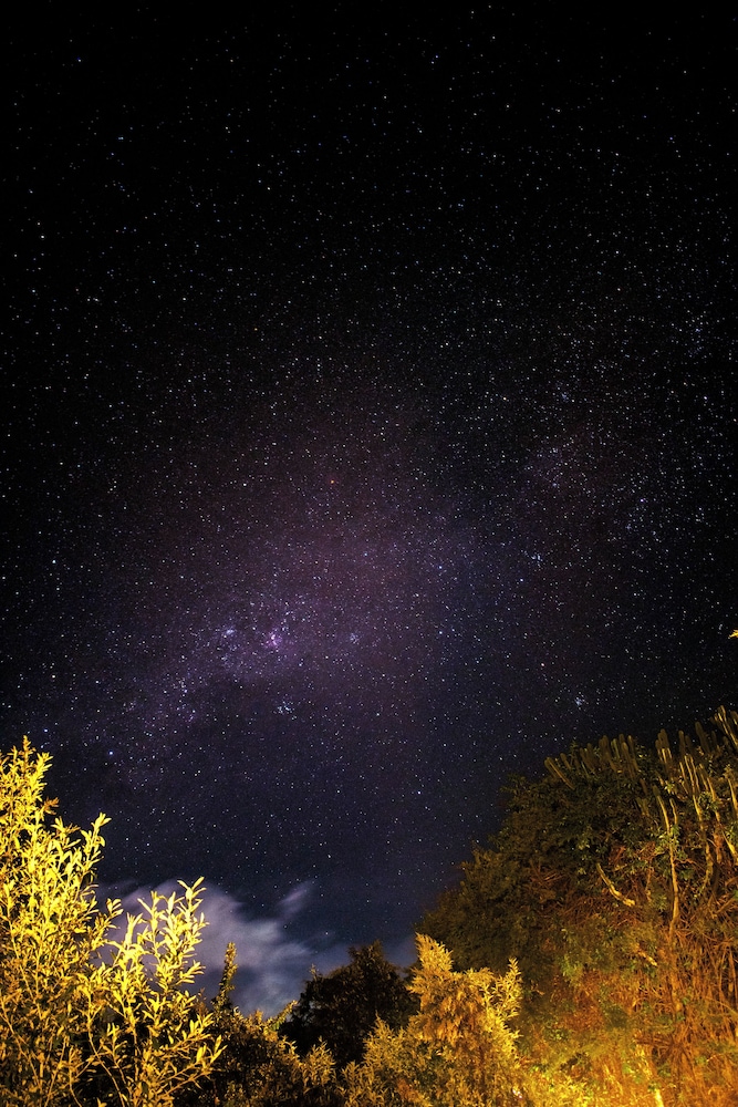 Naivasha Kongoni Lodge 41/50