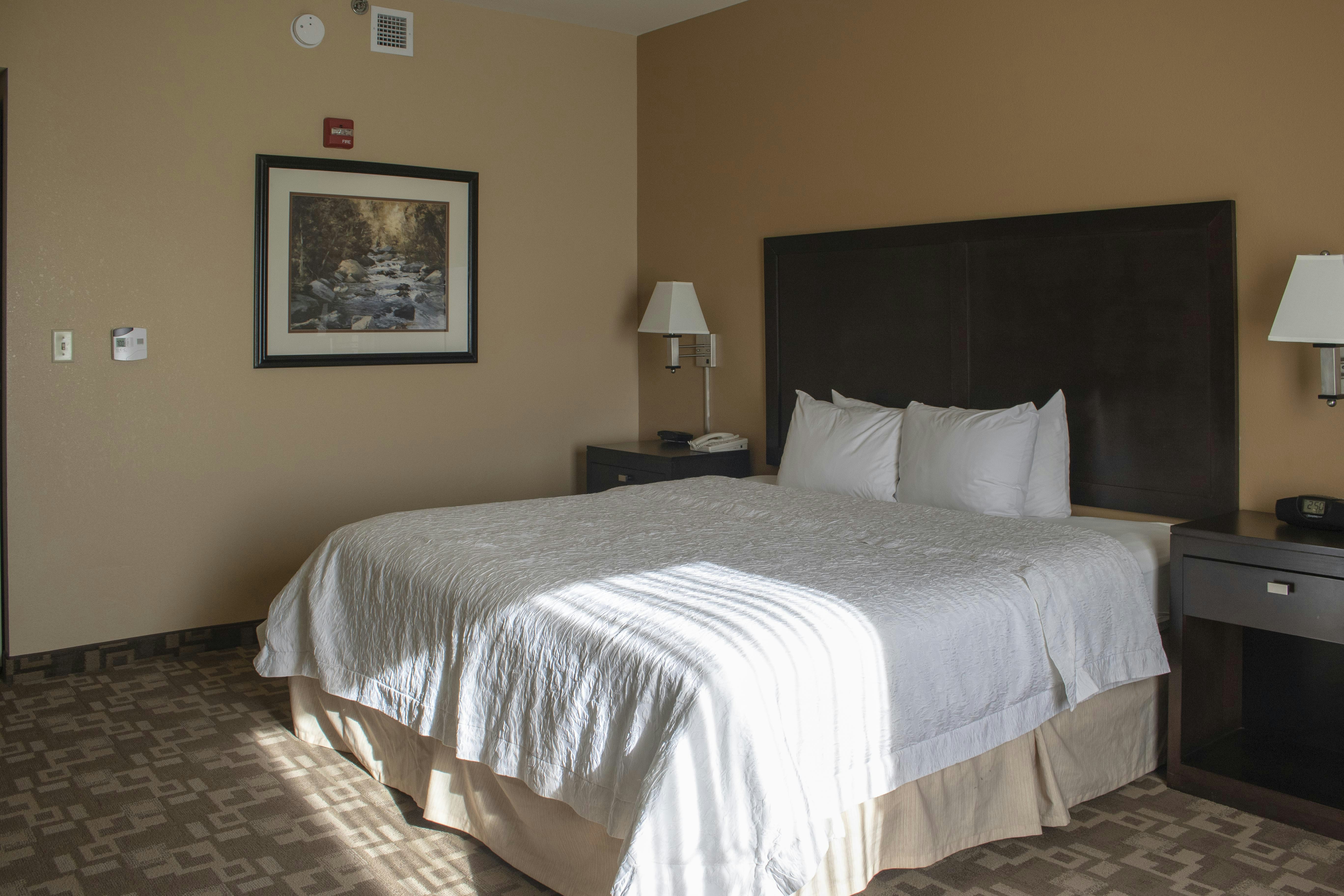 ROOM, KING BED, ACCESSIBLE