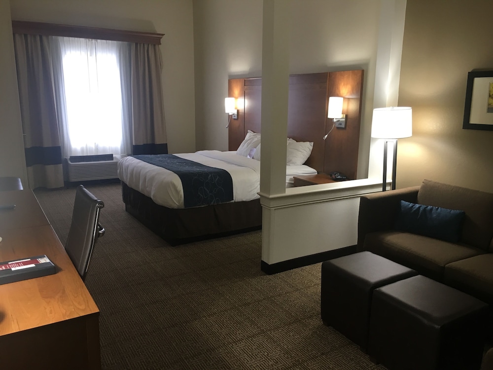 Comfort Suites Hotel and Conference Center, Berlin OH 14/36