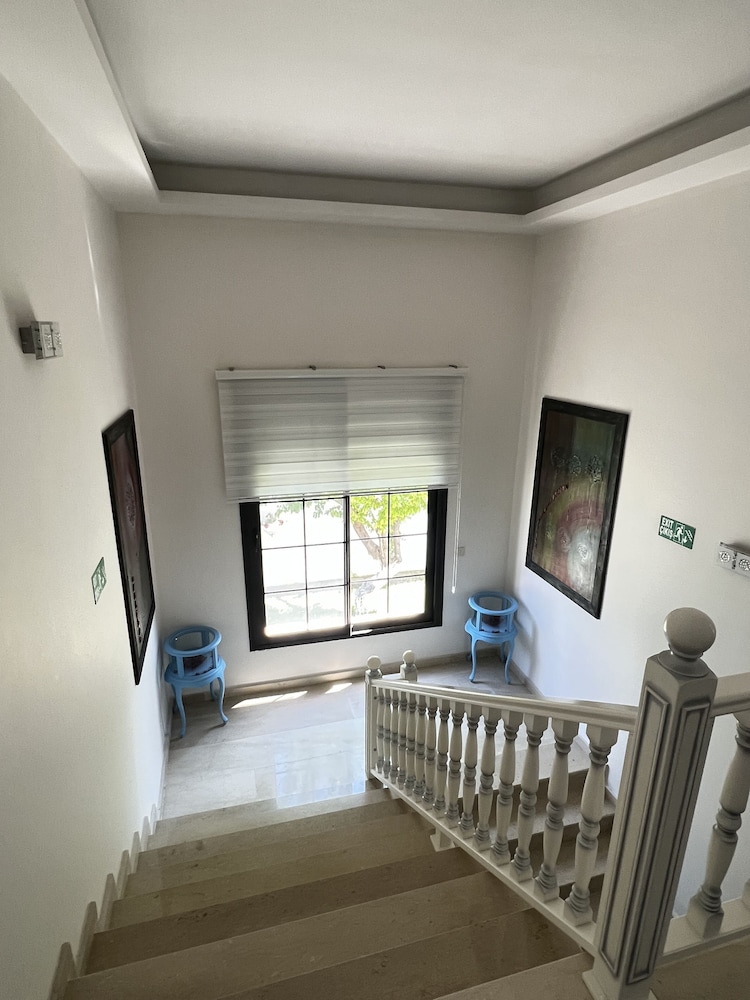 Dalyan Risus Suite 9/25