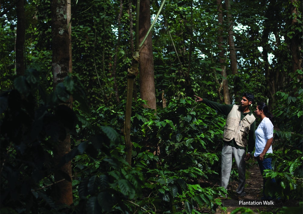 The Serai Chikmagalur 32/45
