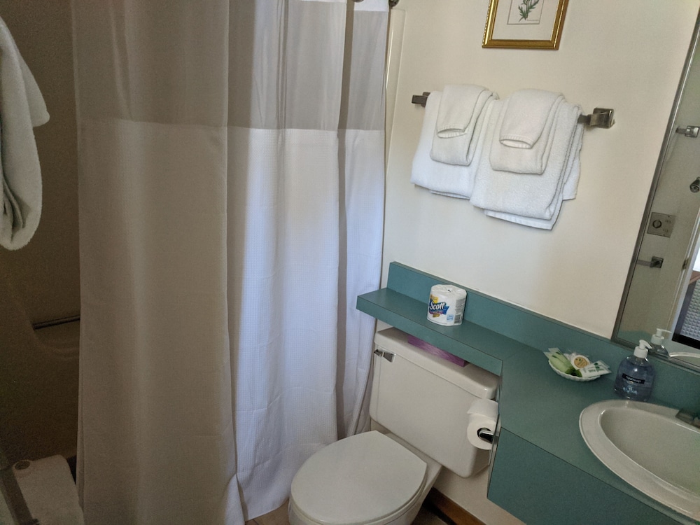 Stowe Motel Snowdrift 27/65