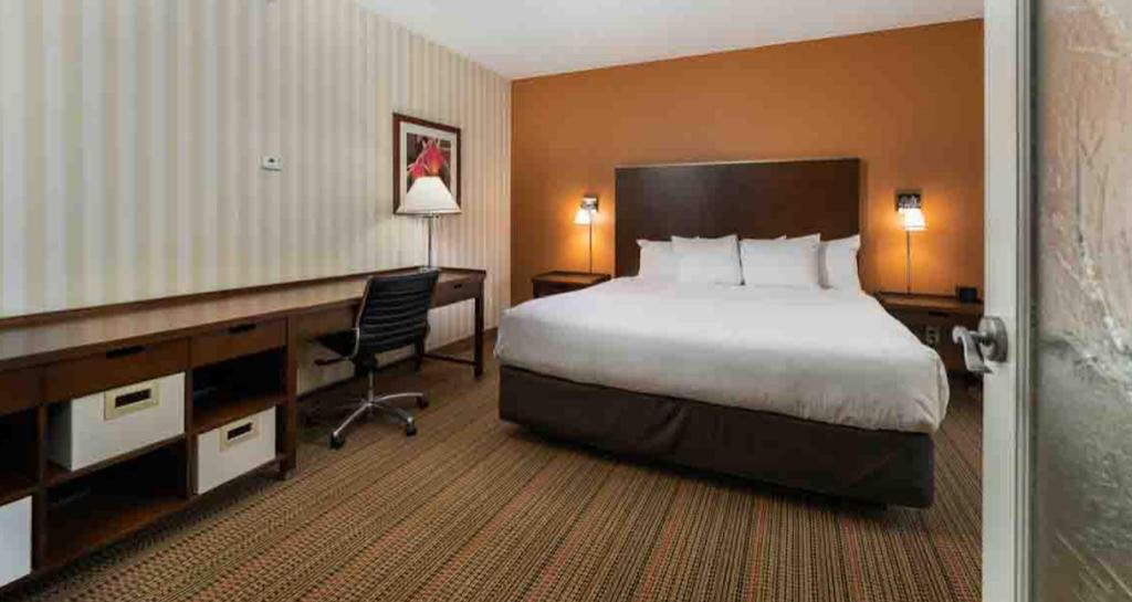 Mini, Suite, King Bed, Kitchenette