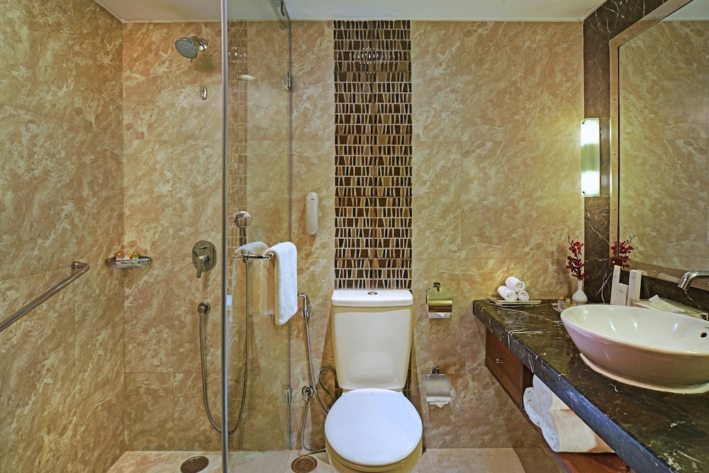 RADISSON JAIPUR CITY CENTER 16/68