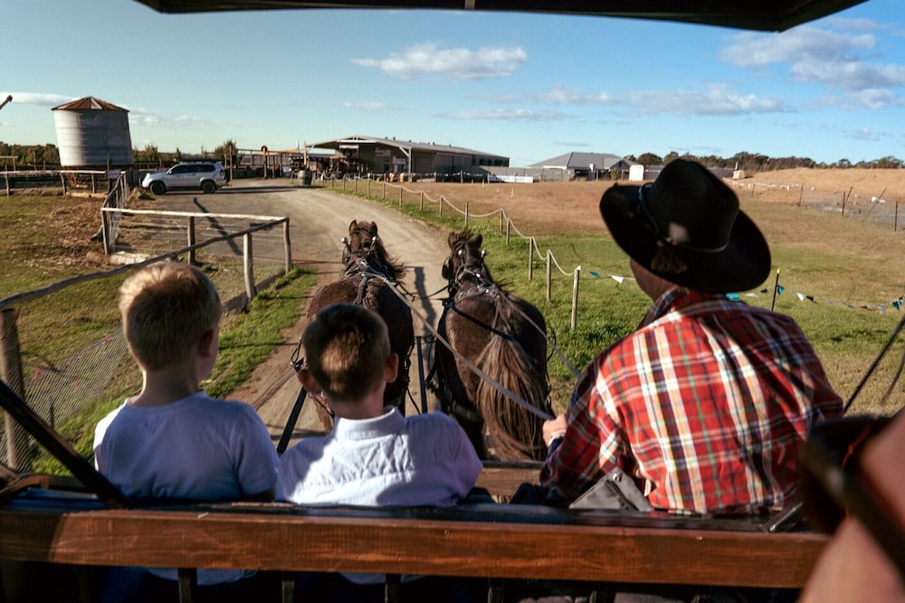 Hunter Valley Resort + Farm 4/37