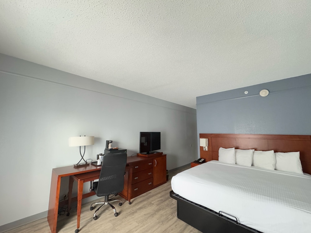 Super 8 by Wyndham Dallas Love Field Airport 31/60