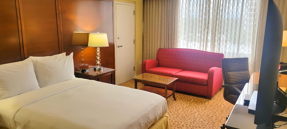 Wyndham Atlanta Buckhead Hotel & Conference Center 16/57