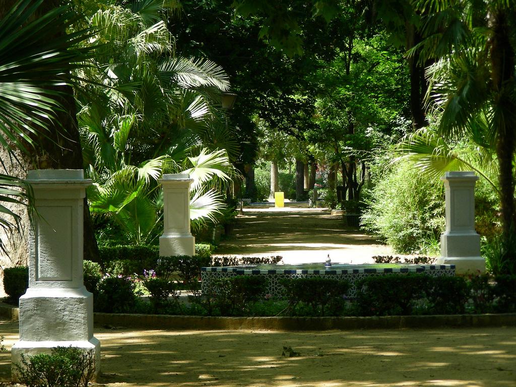 Pasarela 43/50