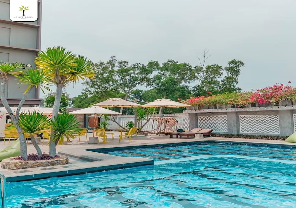 Olive Tree Hotel 46/50